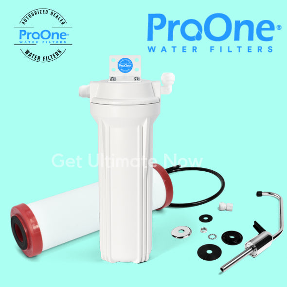 Inline water filter