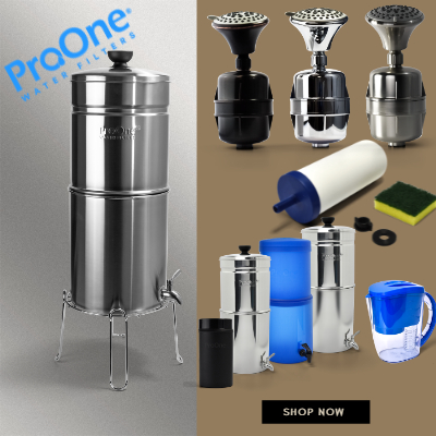 ProOne Shower Filters