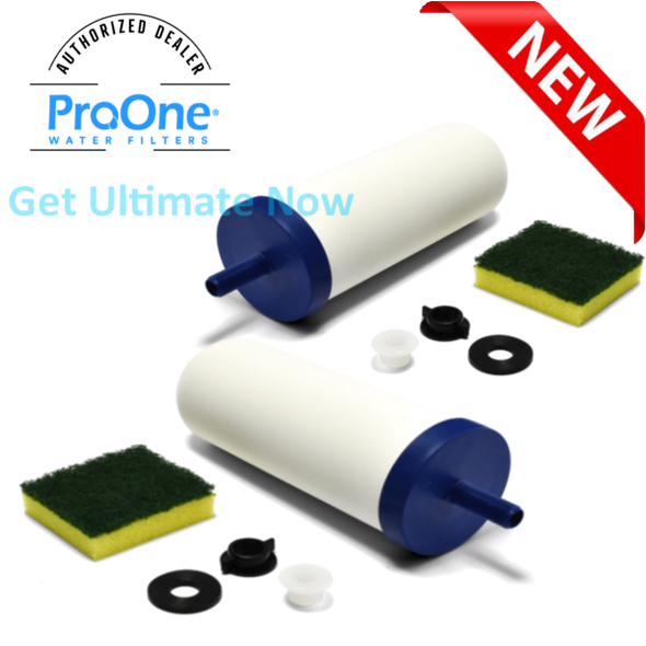 Proone 7 inch G2 Filter per pair