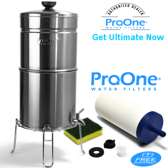 ProOne Traveler Plus Brushed Stainless steel with 1-ProOne 7 inch G2.0 filter