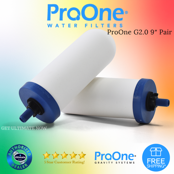 ProOne® POG9-2 G2.0 9" Filter Element - 2-Pack