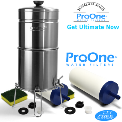 ProOne Traveler Plus Brushed Stainless steel with 2-ProOne 5 inch G2.0 filter