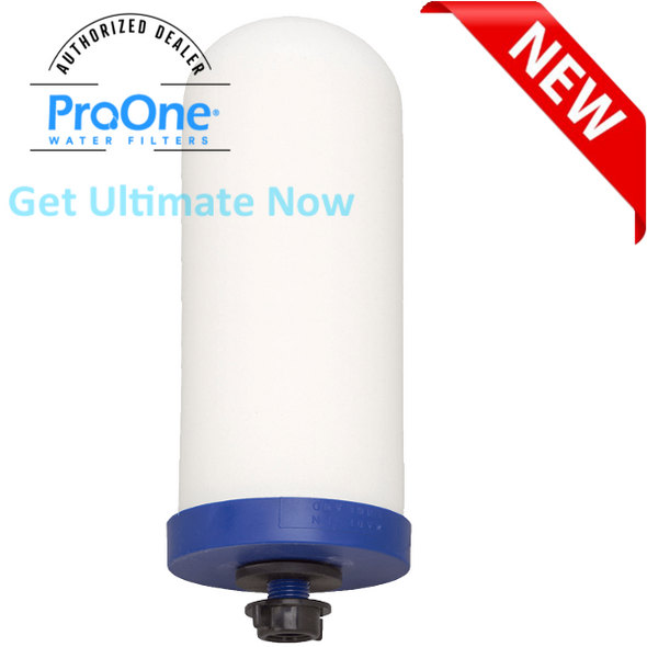 ProOne Single 7-inch Replacement Filter for ProOne Gravity Water Filter System - Removes Fluoride, Lead, Chlorine, Microplastics, and More