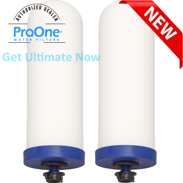 ProOne BIG II with 2-ProOne G2.0 7" filters