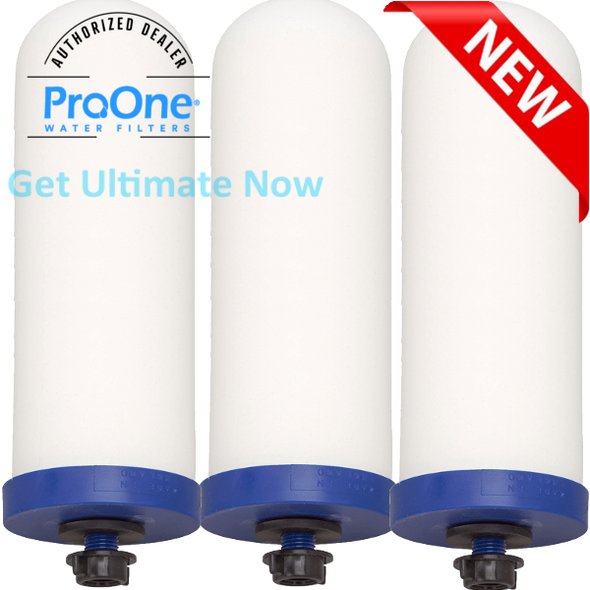 ProOne BIG Plus Polished with 3-ProOne G2.0 9 inch filter and Stand