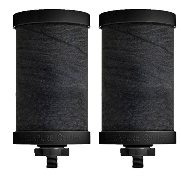 Alexapure Pro Certified Replacement Filter - 2 Pack