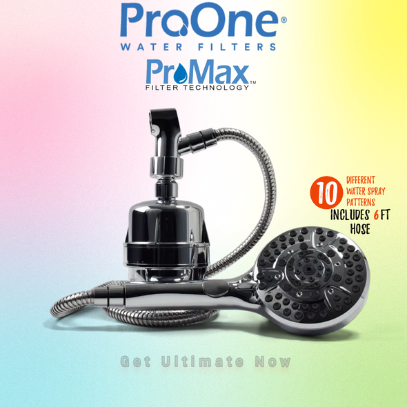 ProOne Chrome PLUS10 Handheld Shower System
