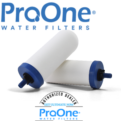 ProOne - Best ProOne 7-Inch G2.0 Home Water/ Flouride Filter Elements / Filtration System (Set of Two)