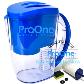 ProOne Water Filter Pitcher with Fruit Infuser, Filtered Water Pitcher for Kitchen, Office, Camping, or RVing