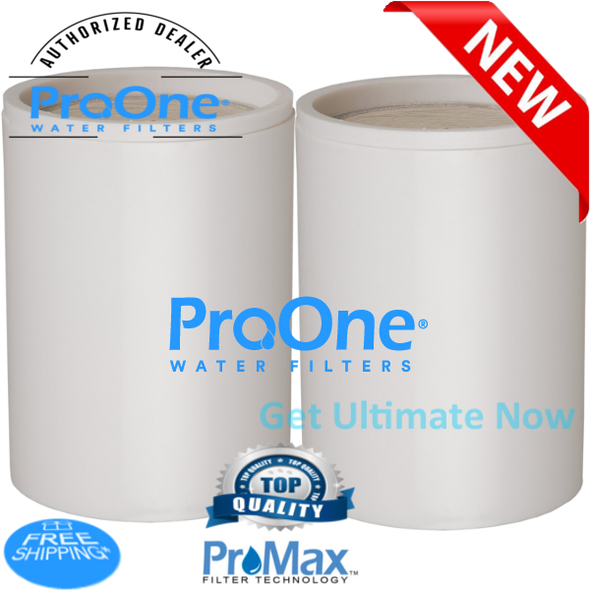 ProOne ProMax Replacement Shower Filter Cartridge (2-Pack)