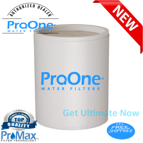 ProOne Chrome Shower Filter w/ 5 Function Massager Head - ProMax Water Filter Cartridge