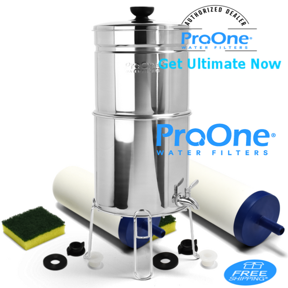 ProOne Traveler Plus Polished with 2-ProOne G2.0 7 inch filter and stand